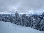 View towards Red Mountain