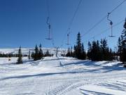 Stormyraheisene I - T-bar