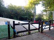 View of the Nursery Slope