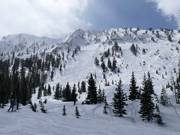 Powder slopes in Honeycomb Canyon