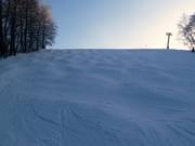 Intermediate slope at Remslift