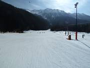 Easy slopes at the valley lifts