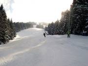 Forest run at the Schwand lift