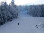 Easy slope at the Hohenbogenbahn