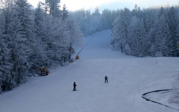 Ski resorts for beginners in the Upper Palatinate (Oberpfalz) – Beginners Hohenbogen – Neukirchen bei Hl. Blut