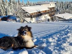 Hunderesort Waldeck