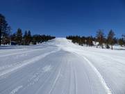 Slope Femåbacken in Tandådalen