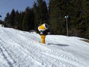 Snow cannon in the Laax ski area
