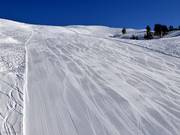 Freshly groomed slope