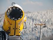 One of seven snow cannons