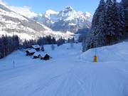 Valley run to Engelberg
