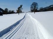 Trail in the Schladming-Dachstein region