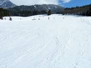 Flat, wide slopes in Hinterthal