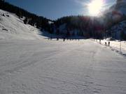 Easy slope at Gerlosstein