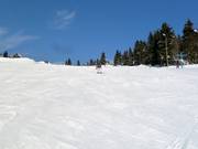 Slope 19: Neklid - Karásek I.