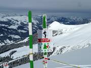 Closure of forest and wildlife protection zones