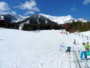 Mighty Moose platter lift with easy practice slope