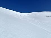 Untouched slopes for heliskiing