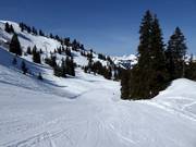 Easy slope Hühnerspiel-Lochstafel