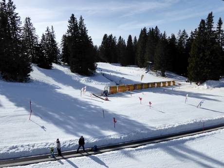 Family ski resorts Plessur Alps – Families and children Grüsch Danusa