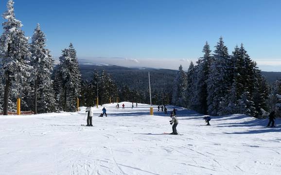 Ski resorts for beginners in the Ústí nad Labem Region (Ústecký kraj) – Beginners Klínovec (Keilberg)