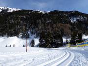 Cross-country ski trails in Vent