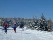 Cross-country skiers at Kaltenbronn