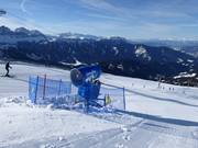 Snow cannon in the Plose ski resort