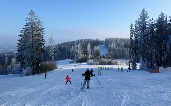 South Bohemian Region (Jihočeský kraj): size of the ski resorts – Size Lipno