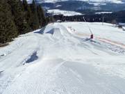 Groomed snowpark on the Mutterer Alm