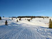 View of the easy Panoramapiste