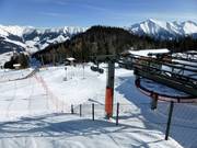 Jackalmlift 2 - T-bar