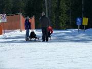 Toboggan run at Hausberg
