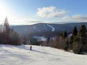 View from Hochficht to Zwieselberg