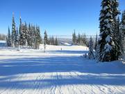 Start of the easy slopes on the mountain