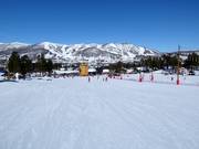 Easy valley run in Vestlia