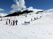 Conveyor belt in Beret