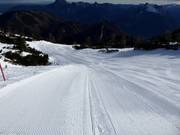 Difficult slope Gruber Spezial