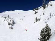 Challenging terrain in Mineral Basin