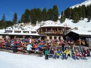 Gastronomy tip Mayrl Alm