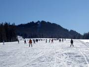 For beginners: Flat and wide Roßalm run (Winklmoosalm)