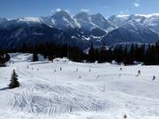 Easy slopes at the Caischavedra practice lift