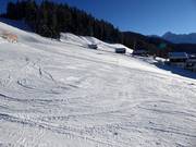 Practice slope in Silbis Winterwelt