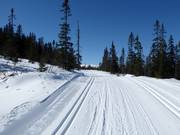 Cross-country ski trails in Trysil