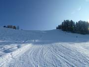View from below of the Fuchs run