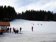 Kapellenberg downhill run