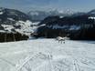 Chiemgau Alps: Test reports from ski resorts – Test report Heutal – Unken