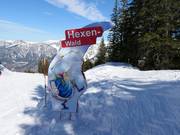 Tip for children  - Hexen-Wald (Witches Wood)