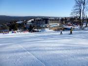 Practice slope with conveyor belt in Zieleniec