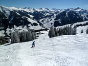 Variants on the Sunliner